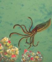 Young Smartarm in a Coral Reef